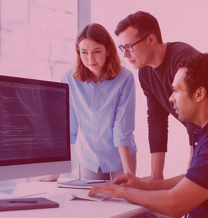 IT-Professional-Services-company
